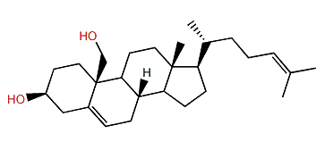 Acanthovagasteroid B